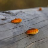 Kylltal - Kronenburg - Baasem