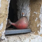 Kylltal - Kronenburg - Baasem