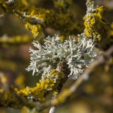 Kylltal - Kronenburg - Baasem